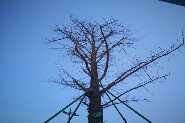 提“氣”質(zhì)丨打造2.0版本，實(shí)現(xiàn)“大數(shù)據(jù)”精準(zhǔn)治污